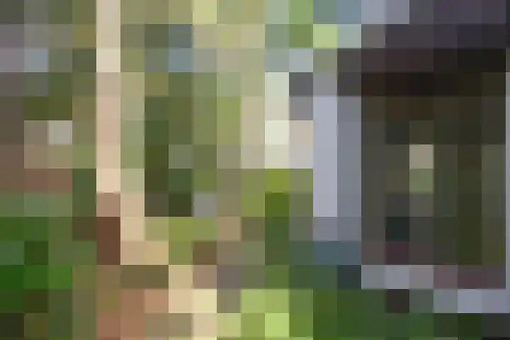 Boslaan 8 Zeist thumbnail 34