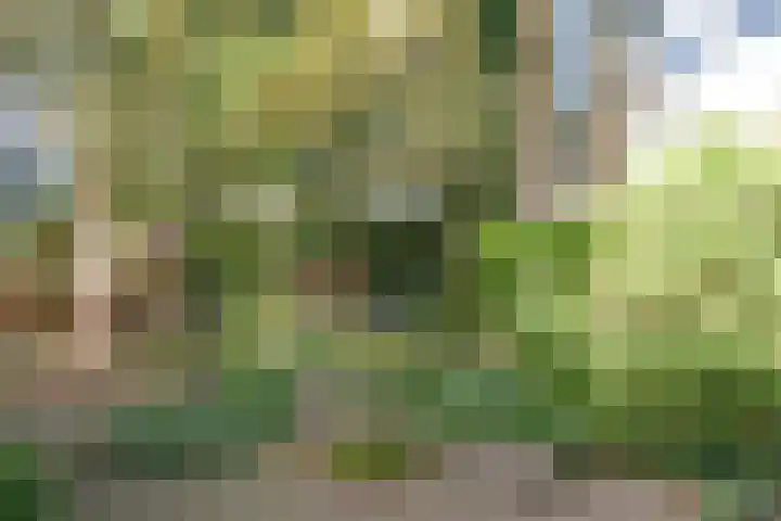 Boslaan 8 Zeist thumbnail 35