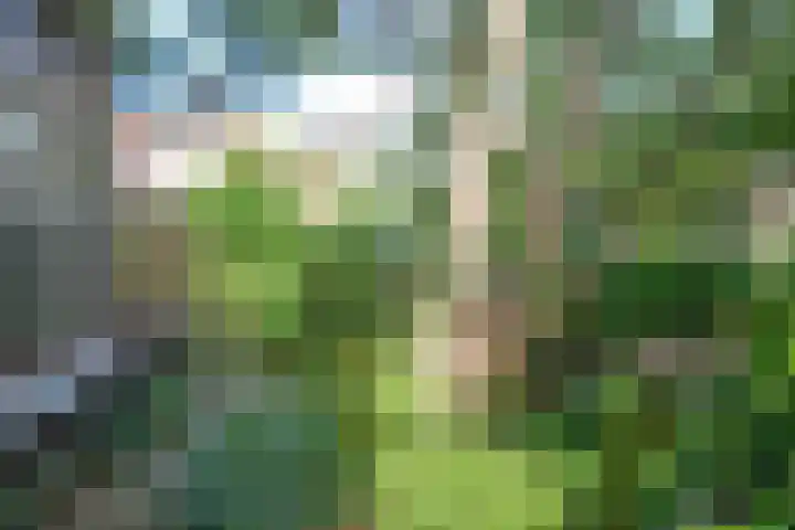 Boslaan 8 Zeist thumbnail 36
