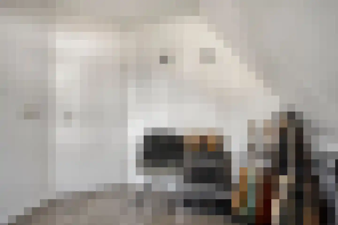 Boslaan 88 Zuidbroek thumbnail 42