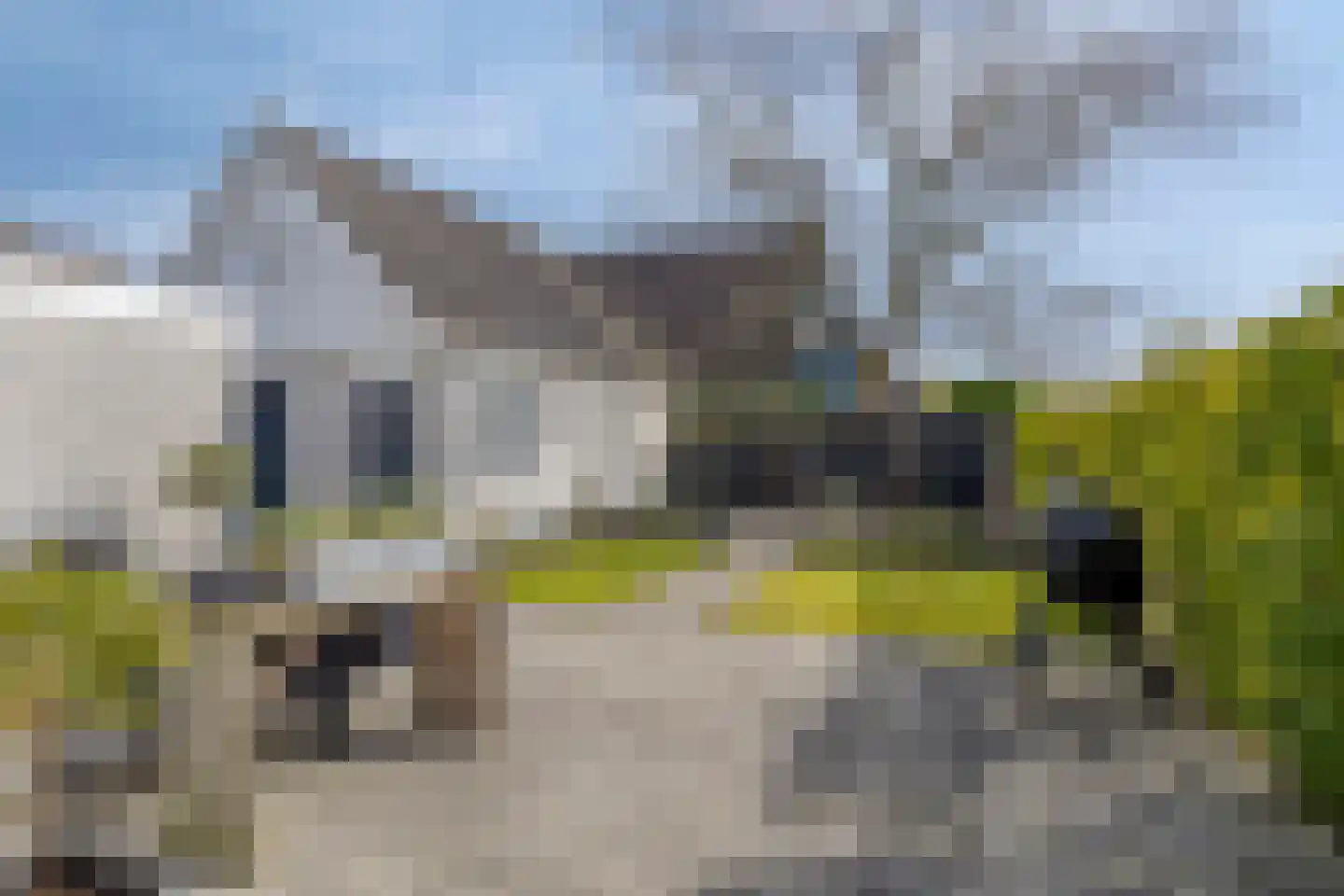 Boslaan 88 Zuidbroek thumbnail 47