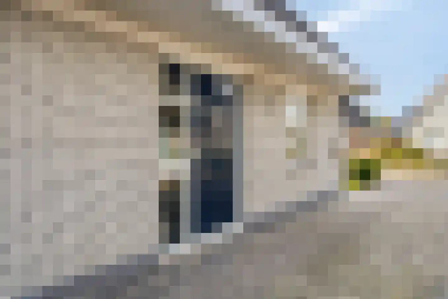 Boslaan 88 Zuidbroek thumbnail 5