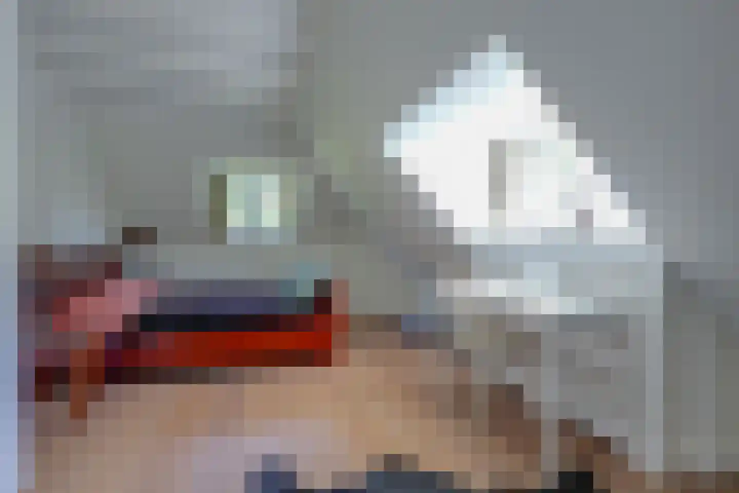 Boslaan 9 Blaricum thumbnail 27