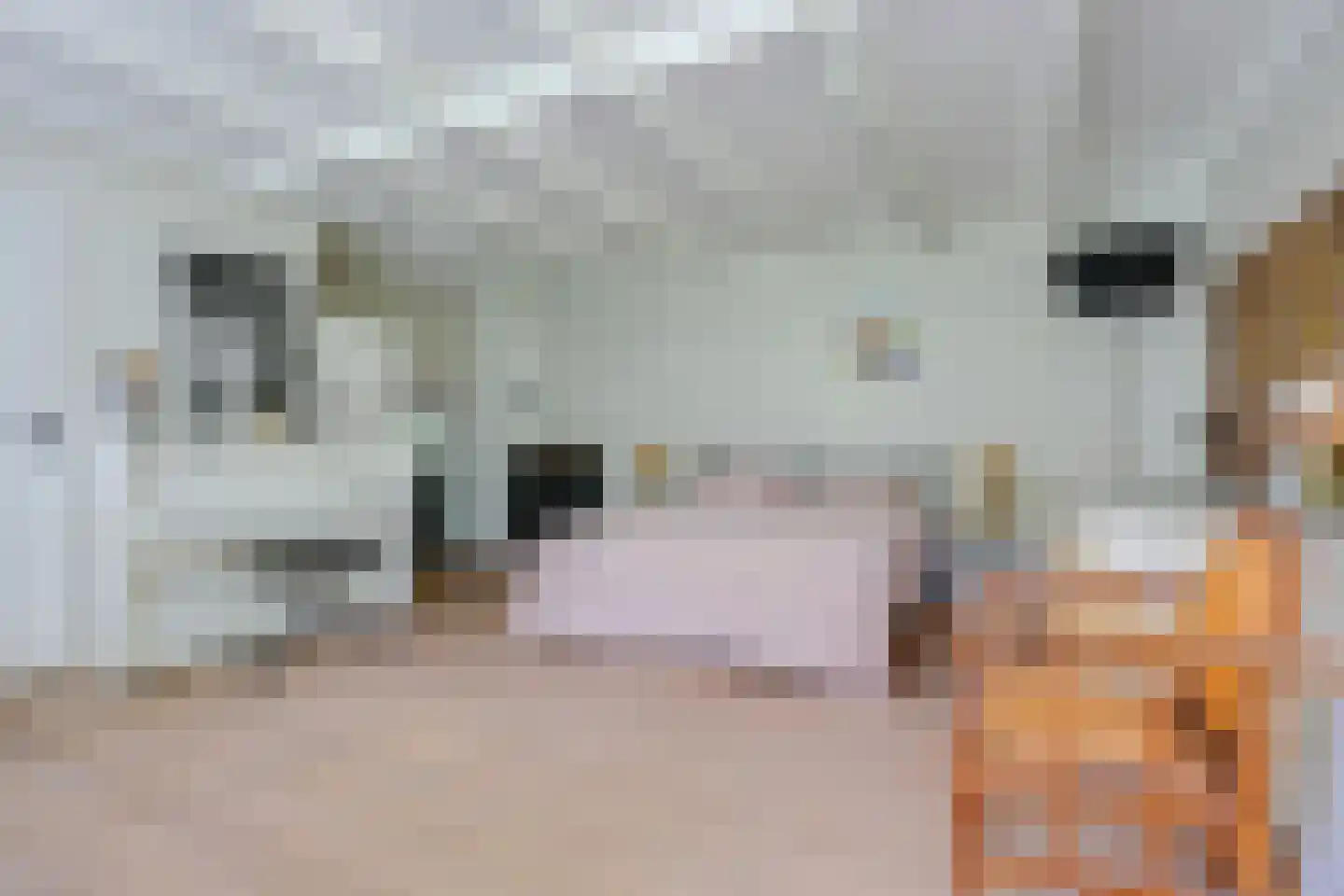 Boslaan 9 Blaricum thumbnail 38