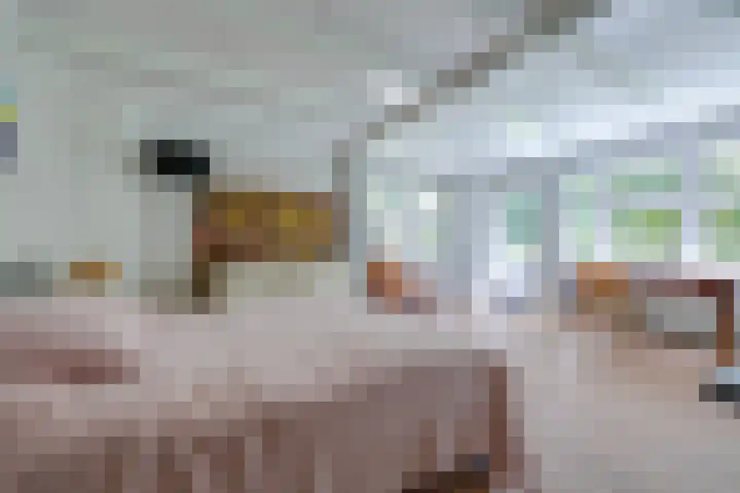 Boslaan 9 Blaricum thumbnail 39