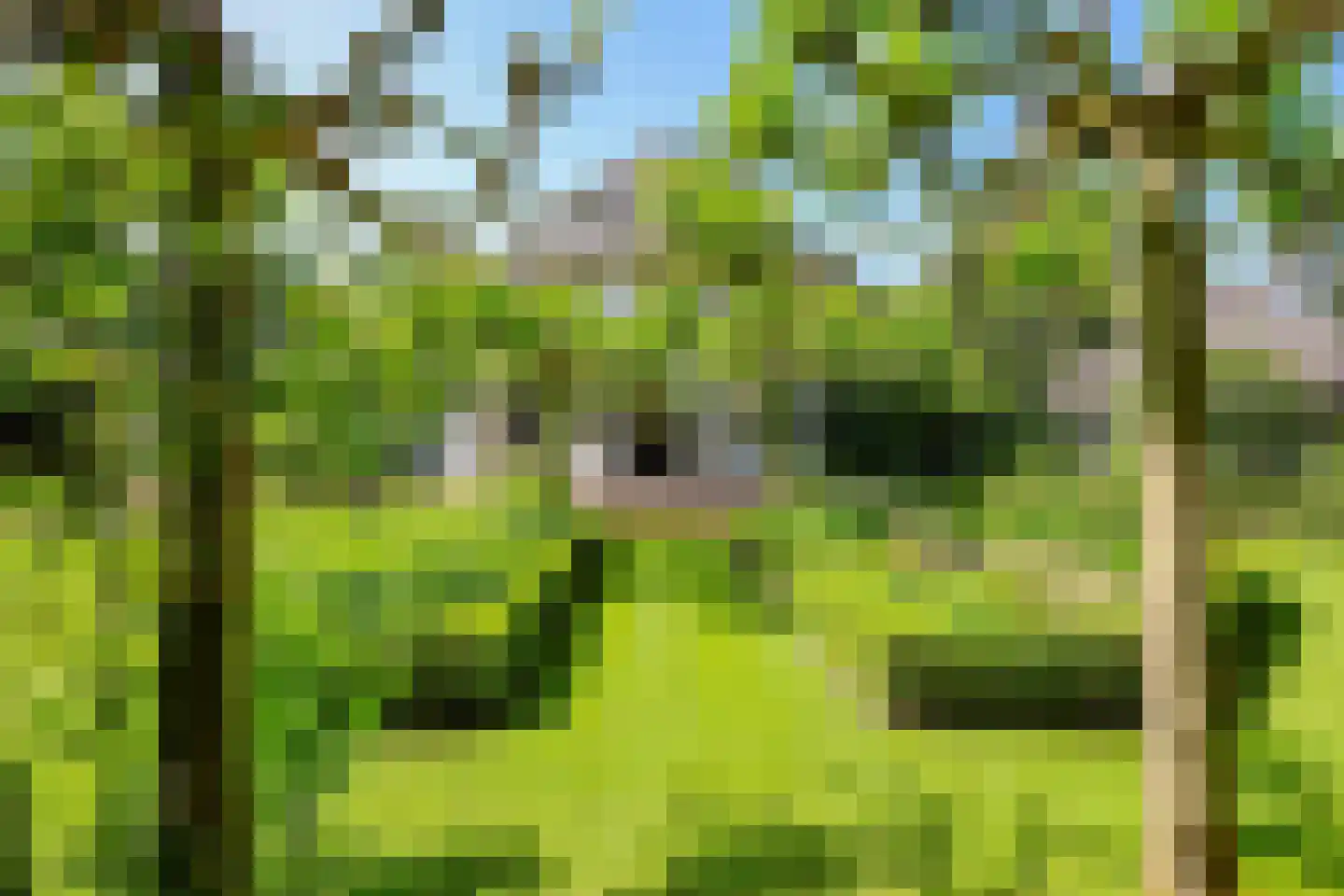Boslaan 9 Blaricum thumbnail 44