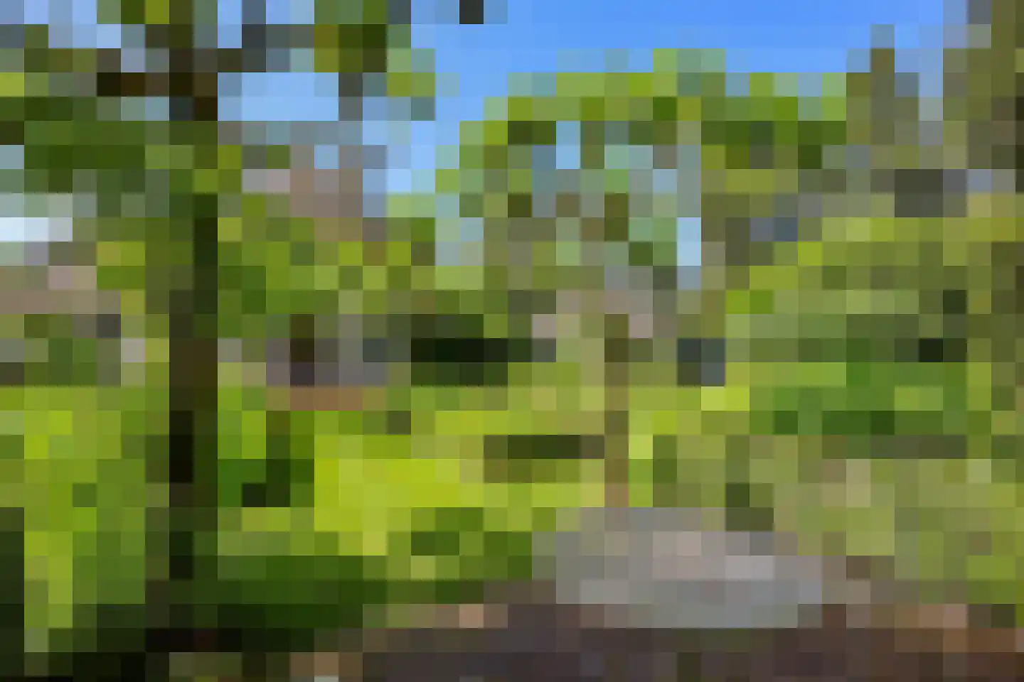 Boslaan 9 Blaricum thumbnail 45