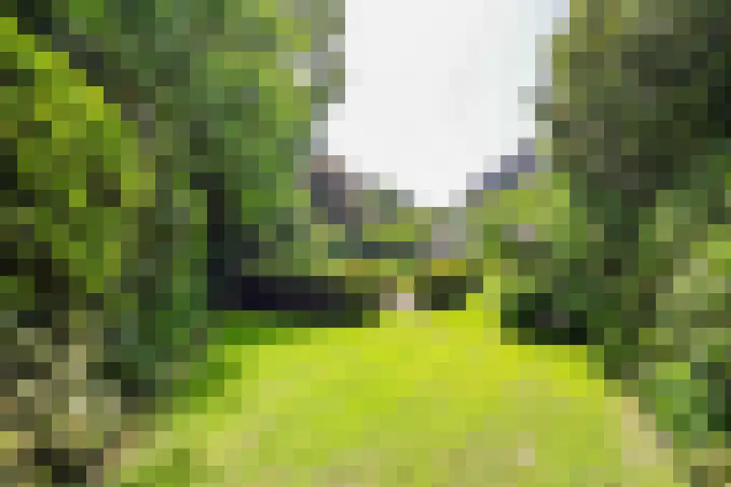 Boslaan 9 Blaricum thumbnail 47