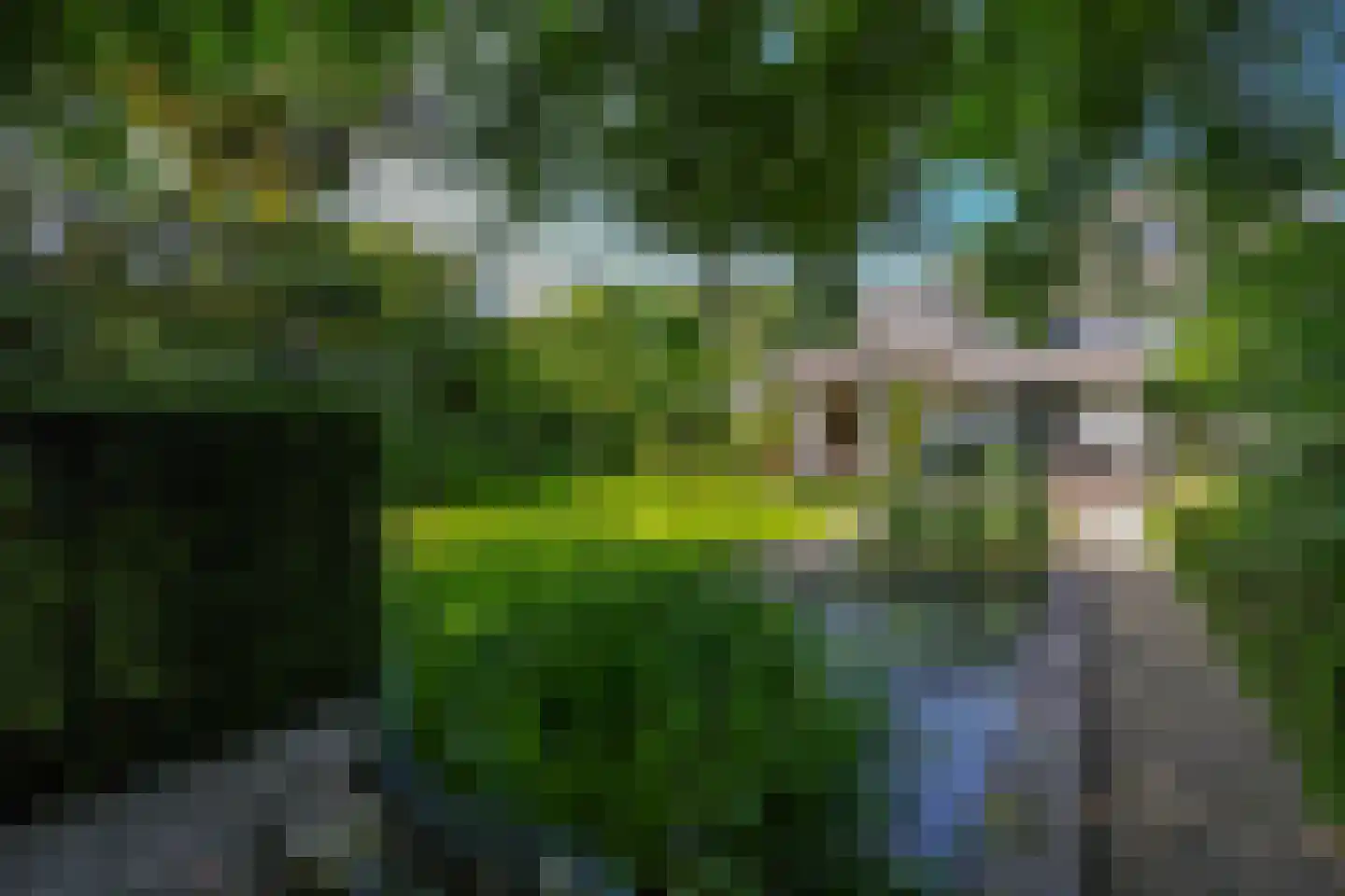 Boslaan 9 Blaricum thumbnail 48