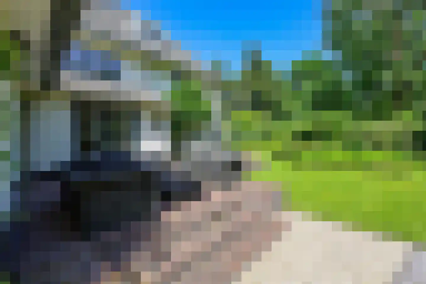 Boslaan 9 Blaricum thumbnail 51