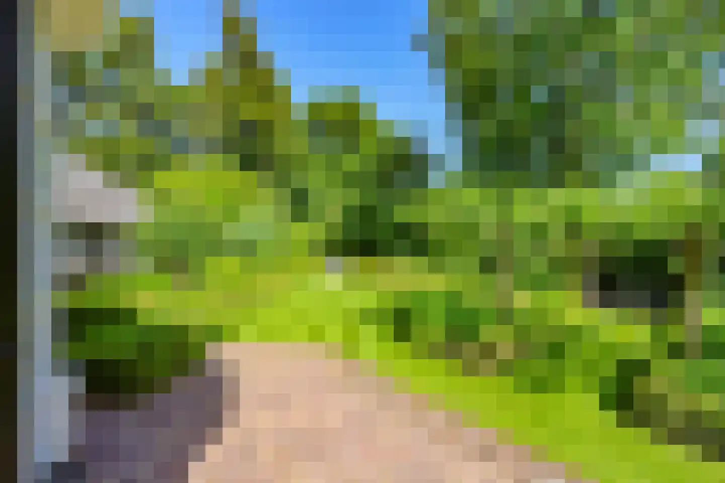 Boslaan 9 Blaricum thumbnail 54