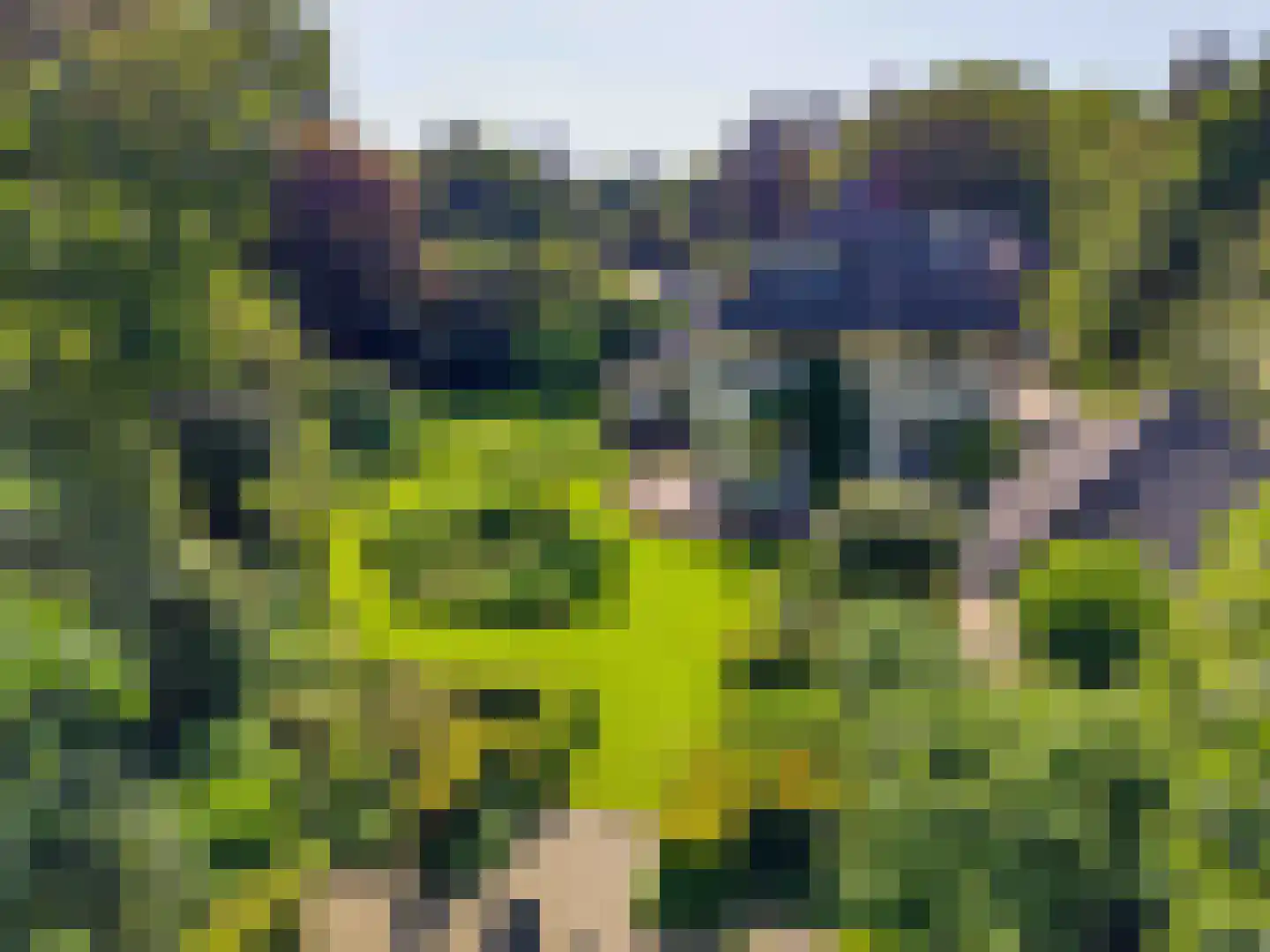 Boslaan 9 Blaricum thumbnail 55