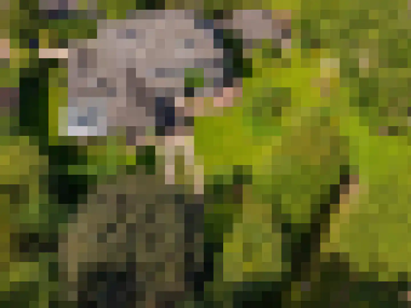 Boslaan 9 Blaricum thumbnail 57