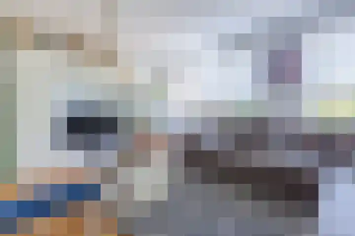 Boslaan 9 Rijnsburg thumbnail 13