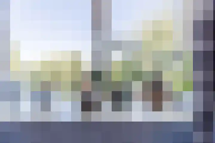 Boslaan 9 Rijnsburg thumbnail 24