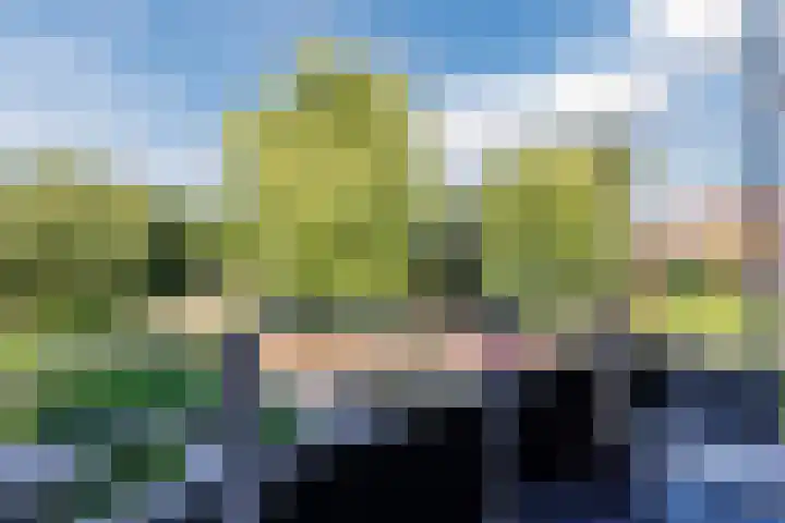Boslaan 9 Rijnsburg thumbnail 38