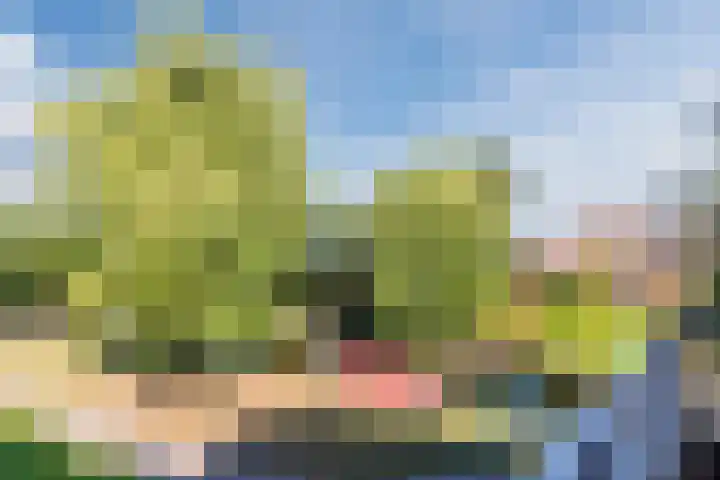 Boslaan 9 Rijnsburg thumbnail 41