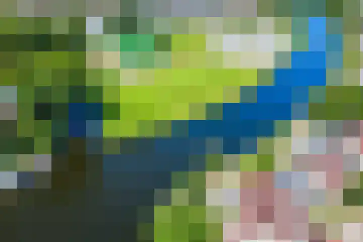 Boslaan 9 Rijnsburg thumbnail 47