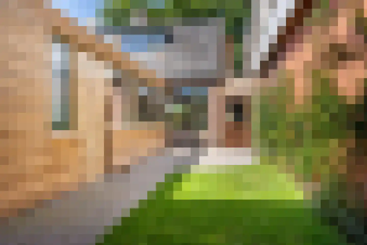 Boslaan 91 Veenendaal thumbnail 28