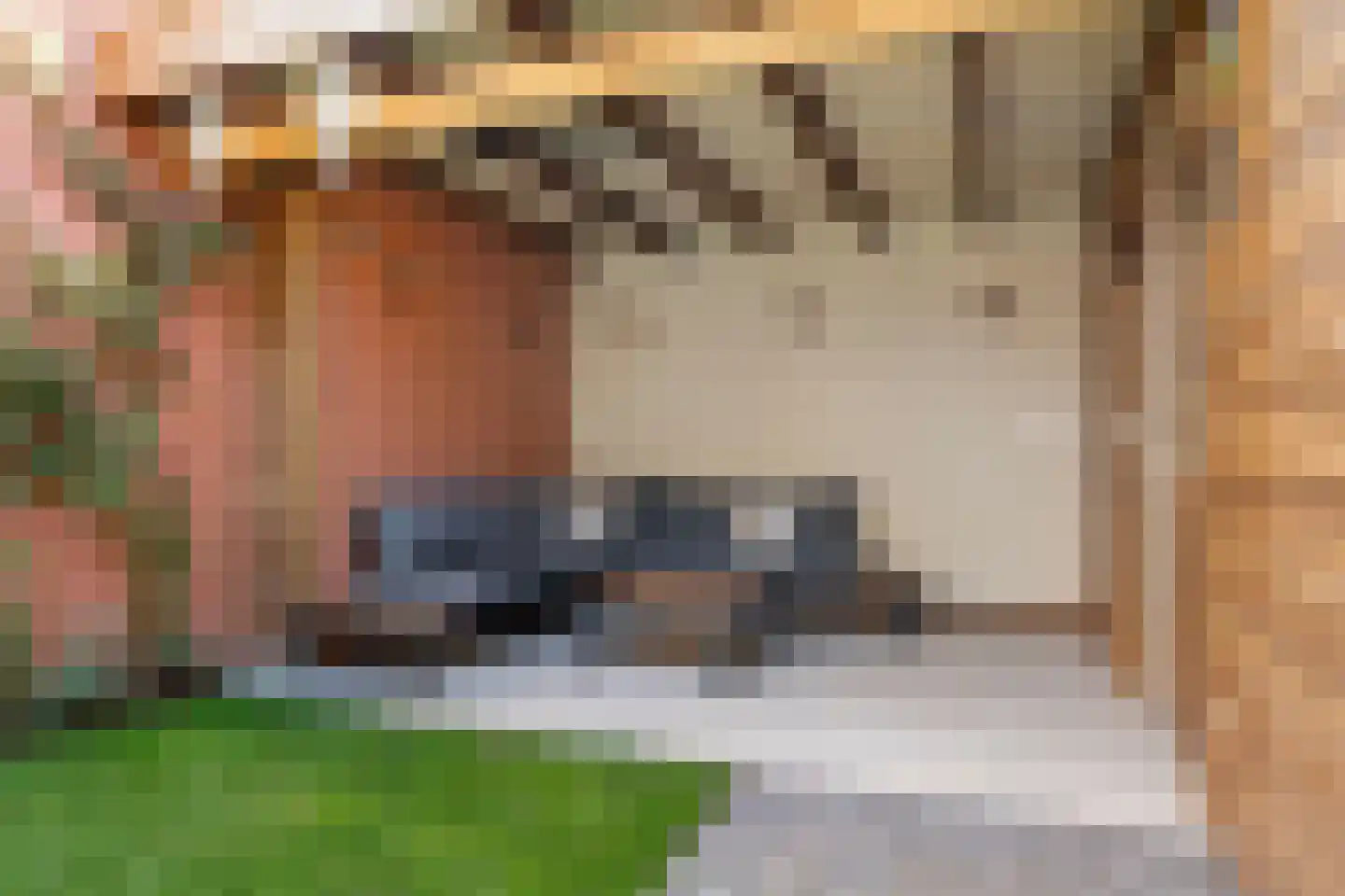 Boslaan 91 Veenendaal thumbnail 30