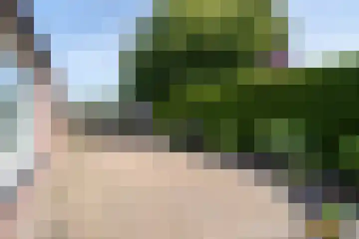 Boslaan 92 Zuidbroek thumbnail 29