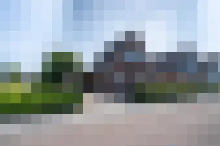 Boslaan 92 Zuidbroek thumbnail 32
