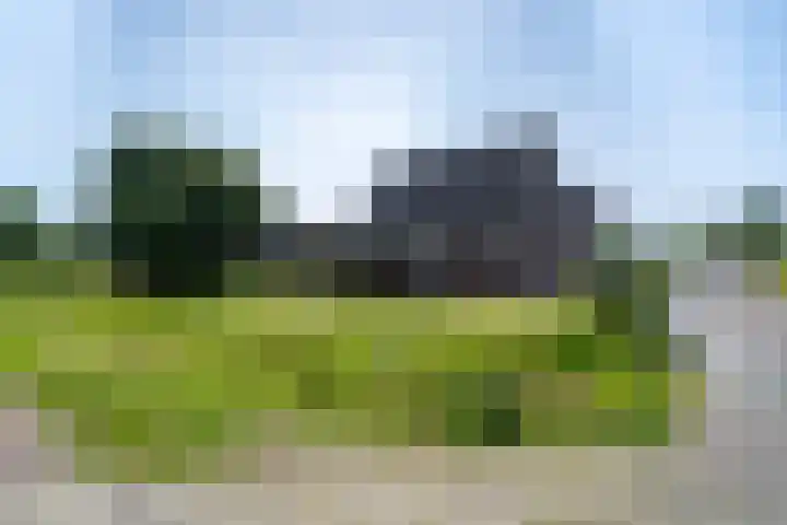 Boslaan 92 Zuidbroek thumbnail 34