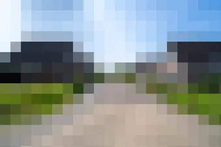 Boslaan 92 Zuidbroek thumbnail 36