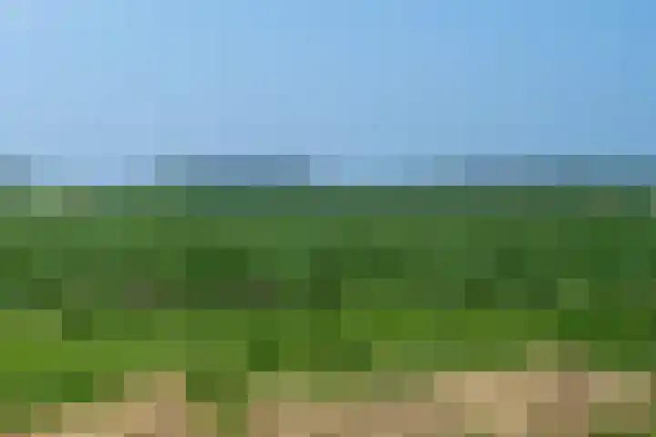 Boslaan 92 Zuidbroek thumbnail 37