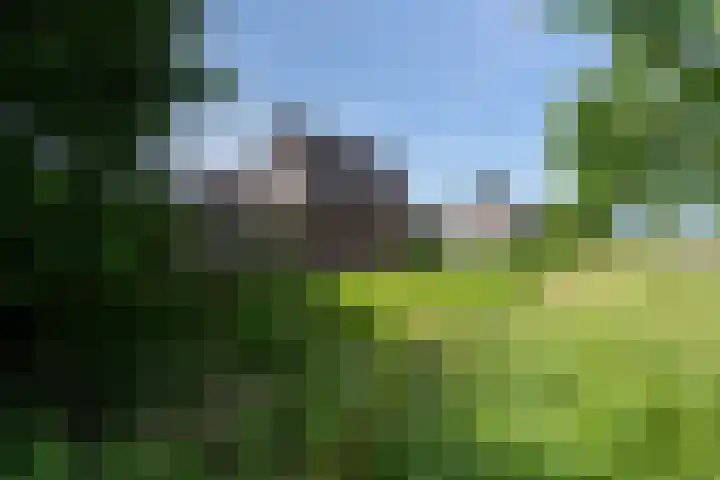 Boslaan 92 Zuidbroek thumbnail 5