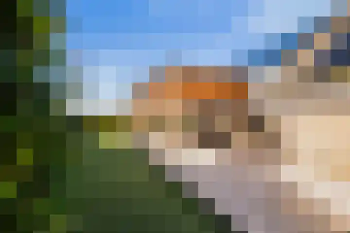 Boslaan 95 Dronten thumbnail 29