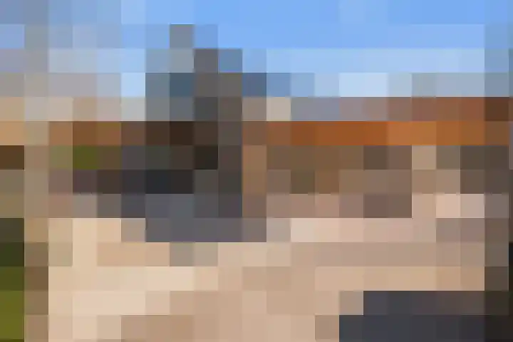 Boslaan 95 Dronten thumbnail 31