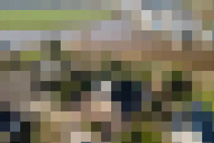 Boslaan 95 Dronten thumbnail 42