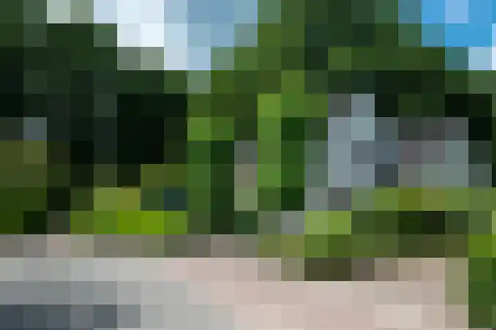 Bosland 17 Haren Gn thumbnail 10