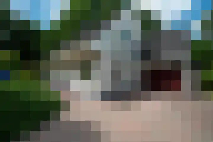 Bosland 17 Haren Gn thumbnail 11