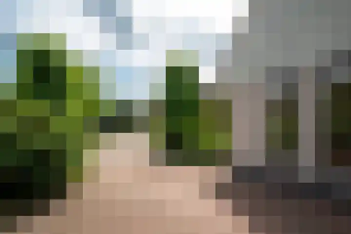 Bosland 17 Haren Gn thumbnail 12