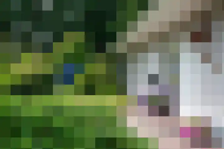 Bosland 17 Haren Gn thumbnail 13