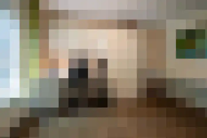 Bosland 17 Haren Gn thumbnail 25