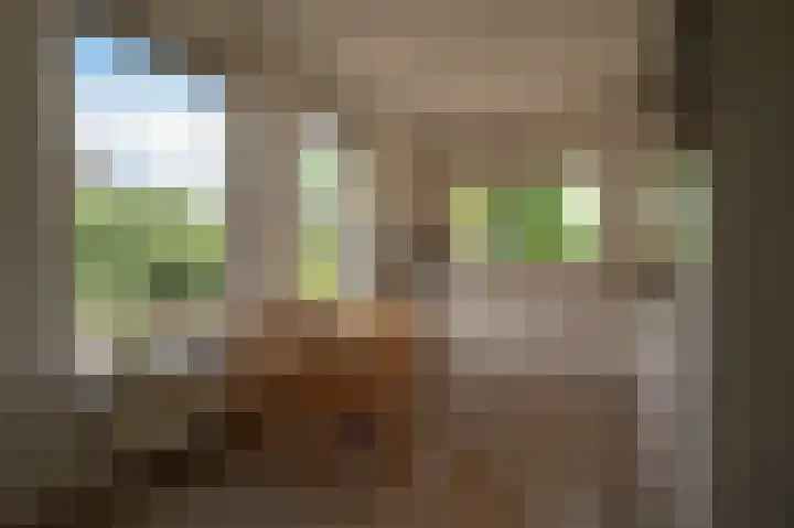 Bosland 17 Haren Gn thumbnail 26
