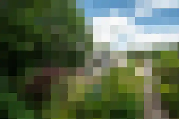 Bosland 17 Haren Gn thumbnail 42