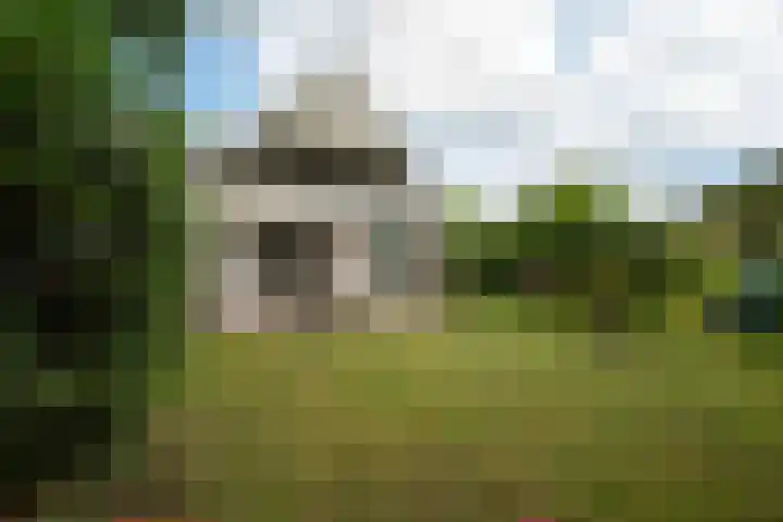 Bosland 17 Haren Gn thumbnail 43