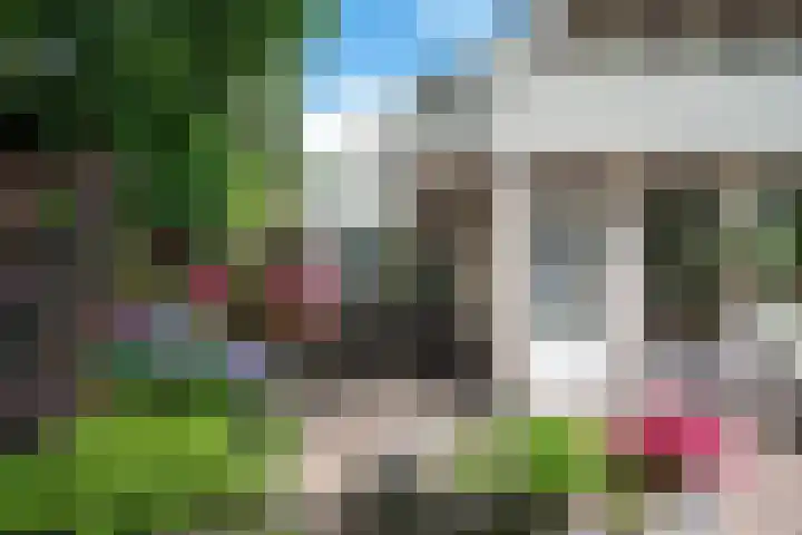 Bosland 17 Haren Gn thumbnail 46