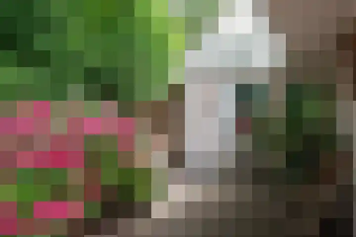 Bosland 17 Haren Gn thumbnail 48
