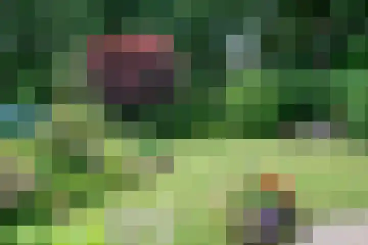 Bosland 17 Haren Gn thumbnail 50