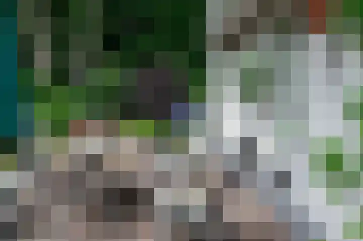 Bosland 17 Haren Gn thumbnail 51