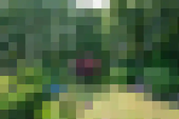 Bosland 17 Haren Gn thumbnail 52