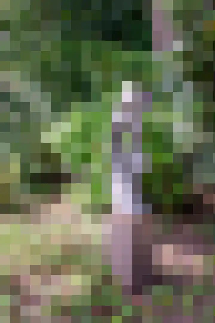 Bosland 17 Haren Gn thumbnail 53