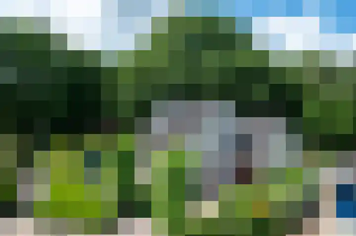 Bosland 17 Haren Gn thumbnail 59
