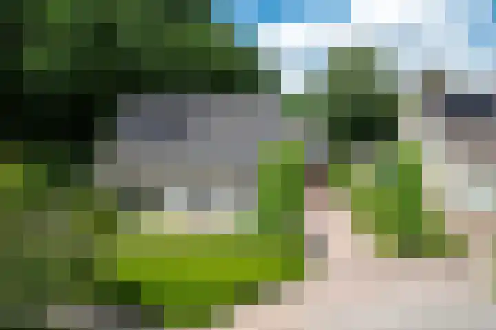 Bosland 17 Haren Gn thumbnail 7