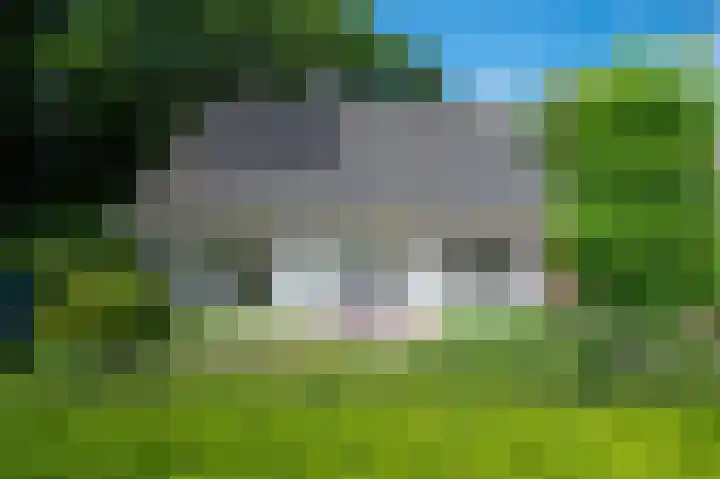 Bosland 17 Haren Gn thumbnail 8